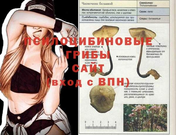 винт Абинск