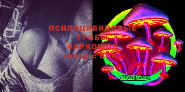 гашик Майский